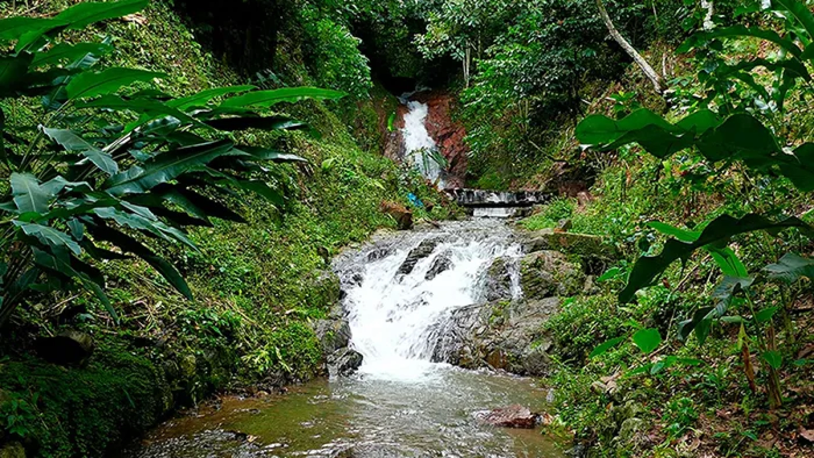 San-Ramon_dys_img